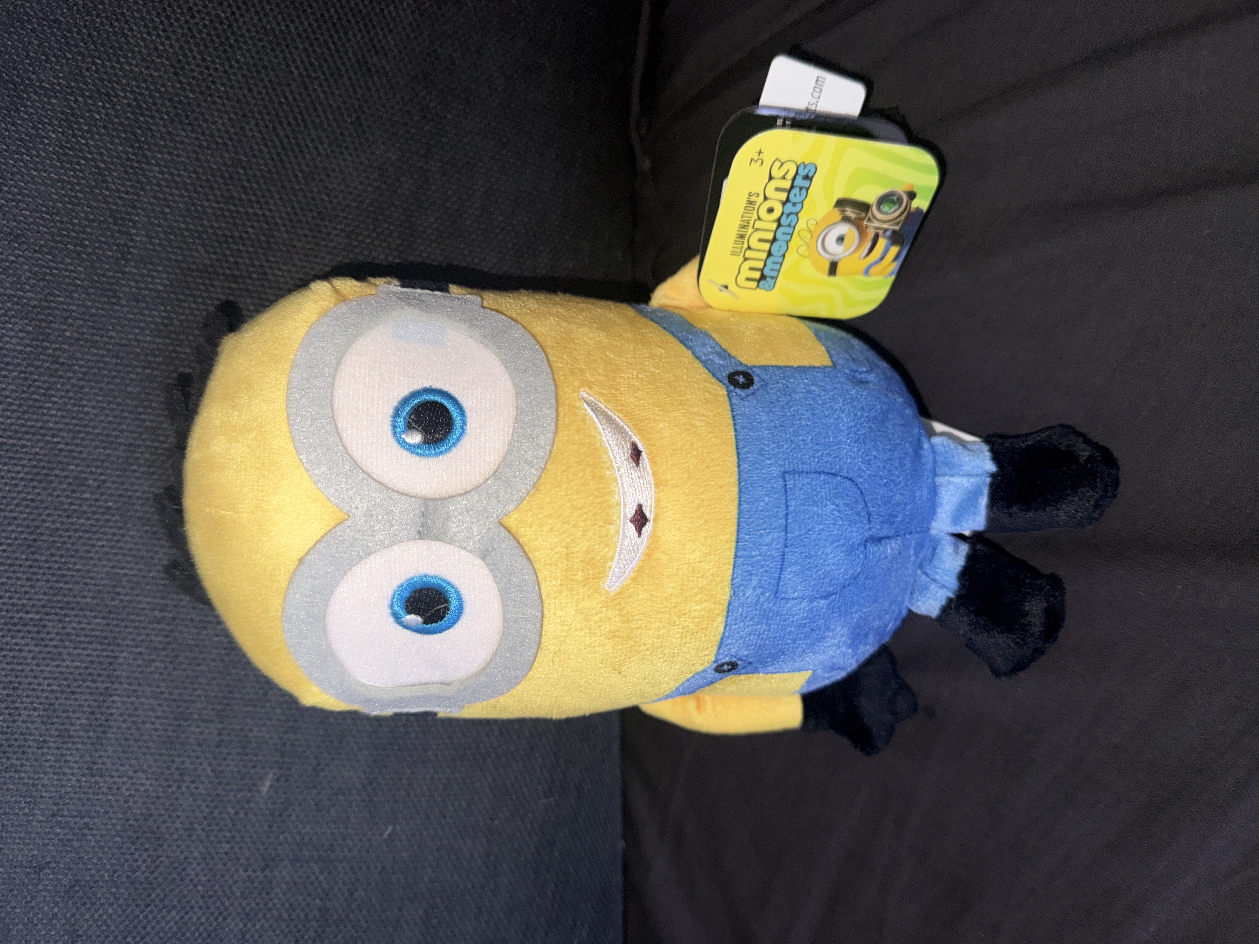 Minions Plush Toy