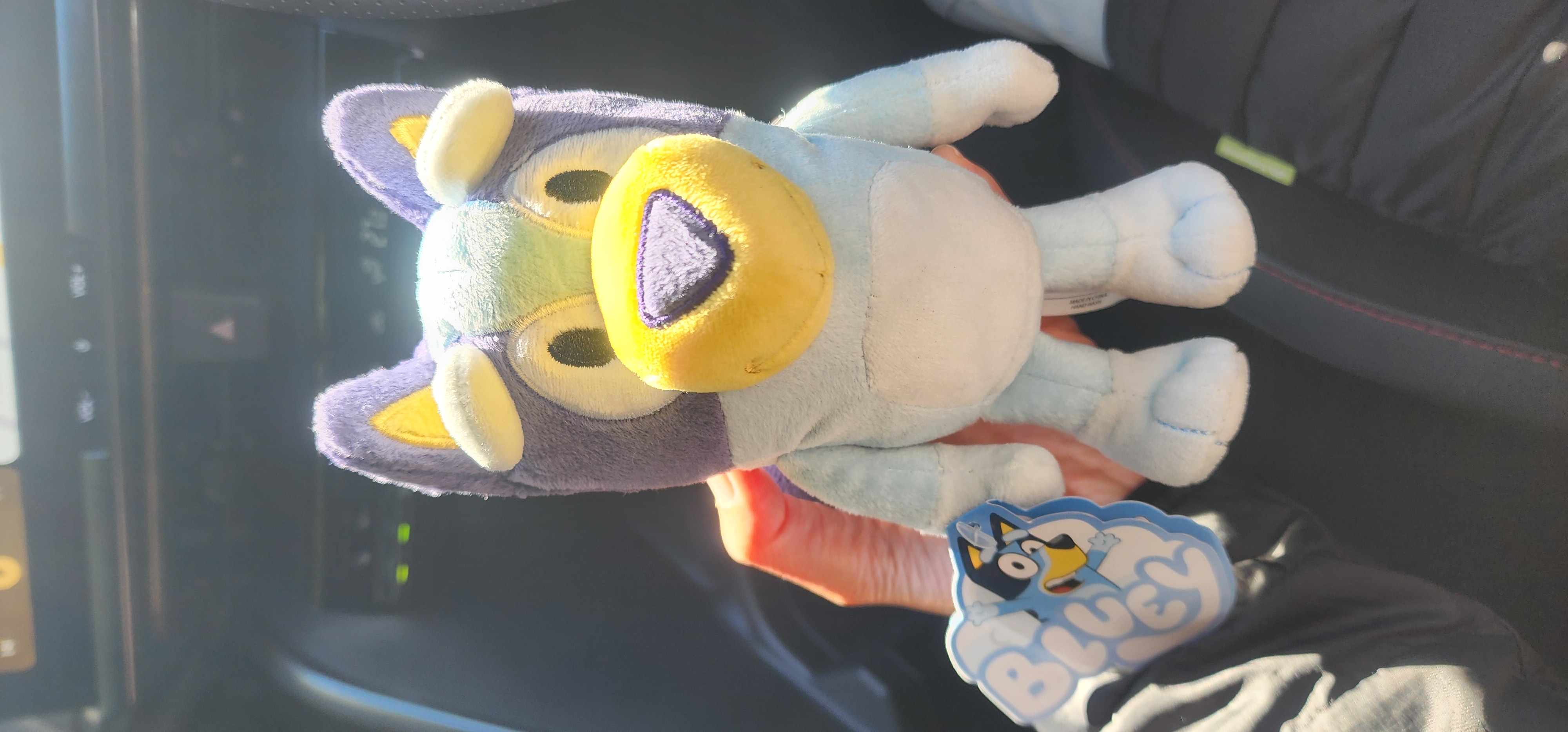 Bluey Friends Plush Toy