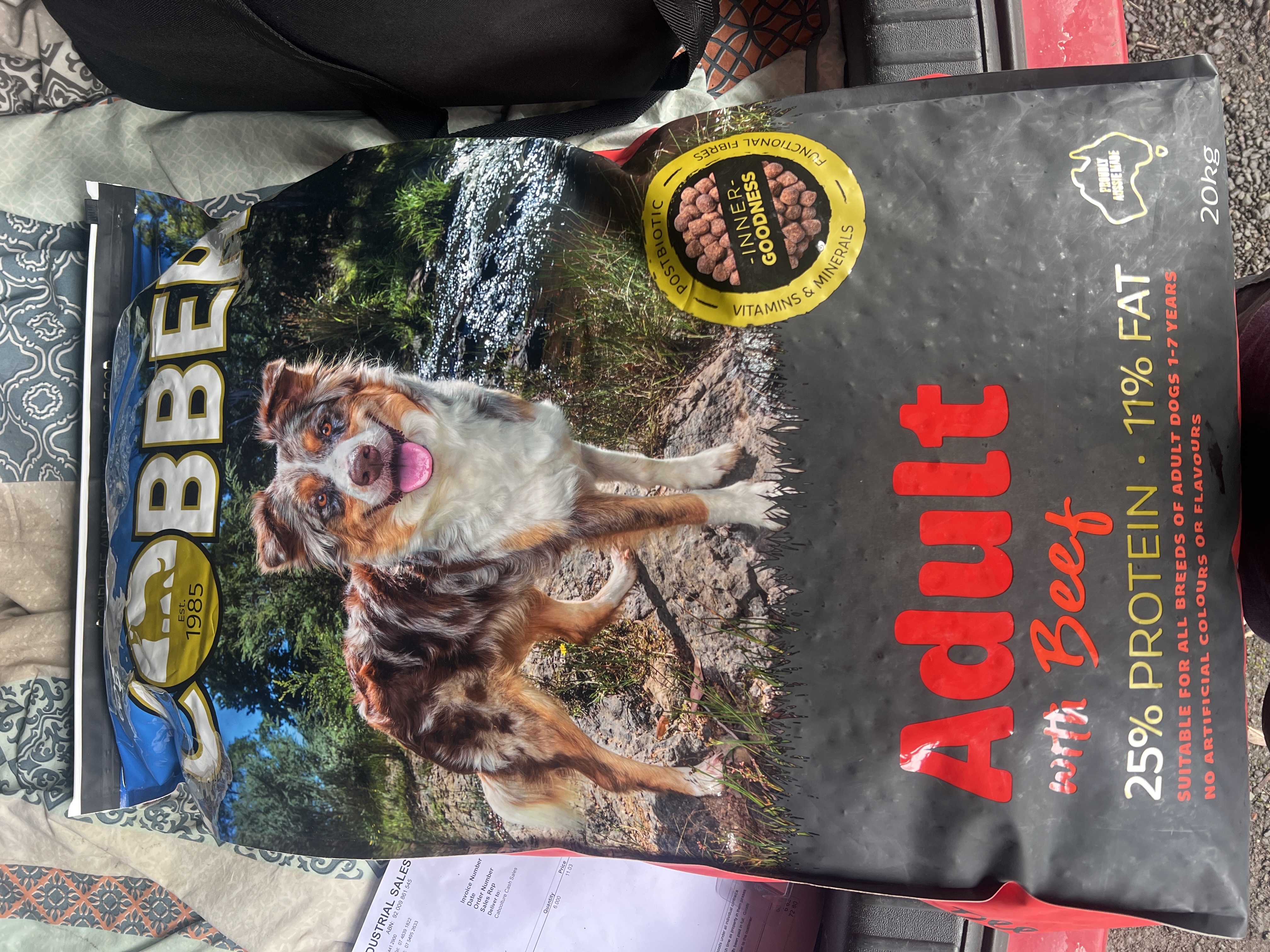 Cobber Adult Dog Food with Beef