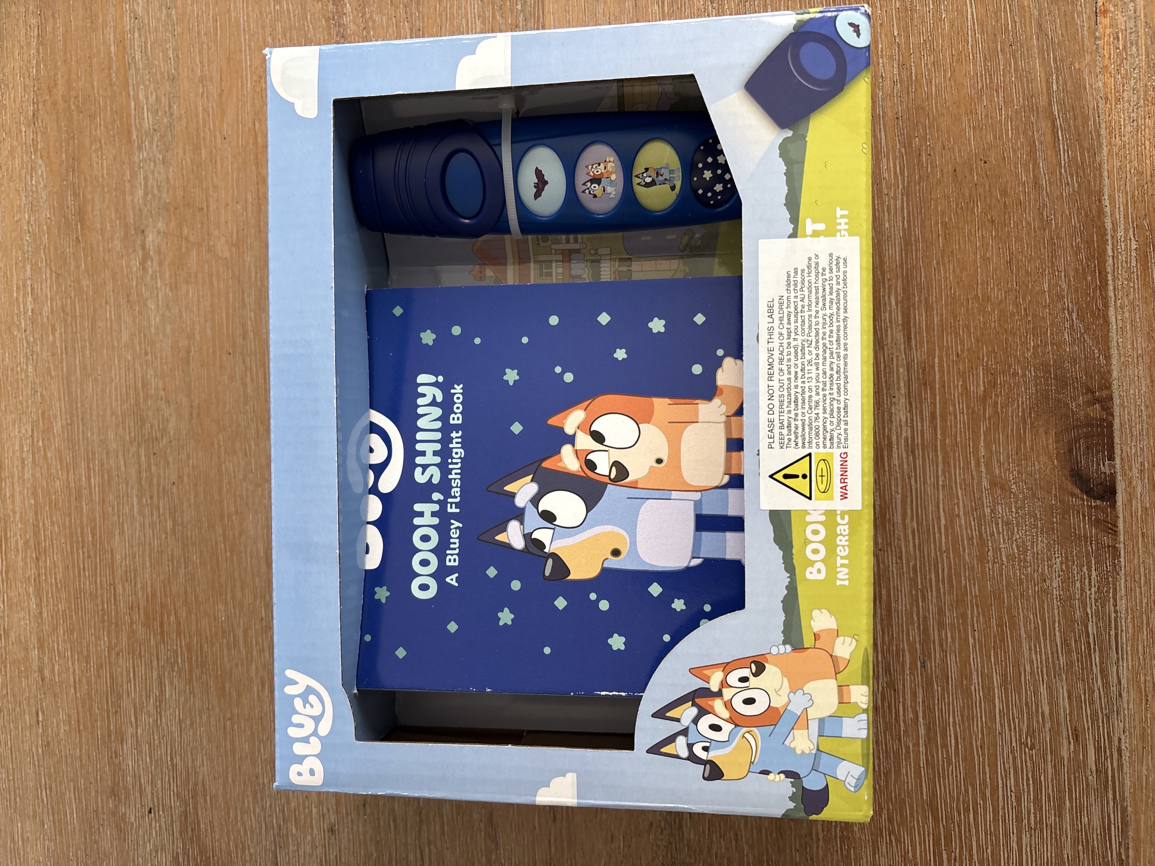 Bluey Flashlight Book