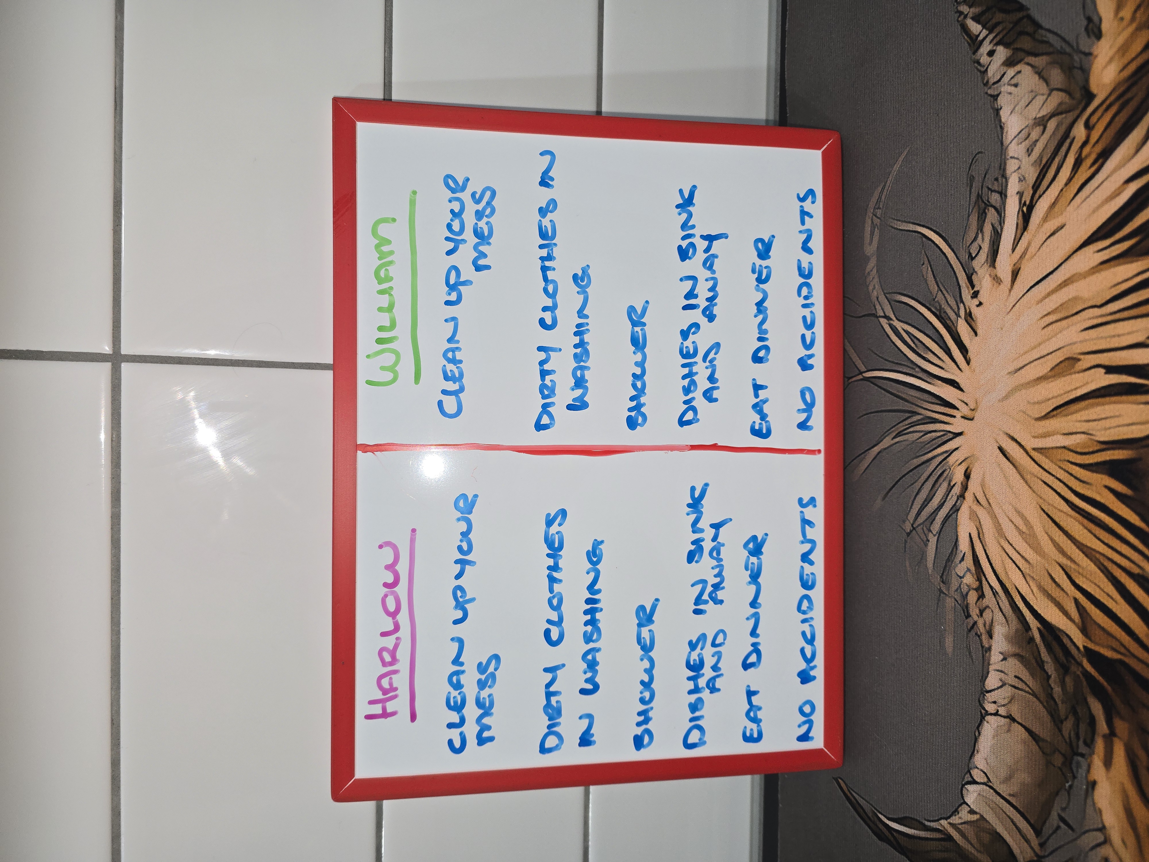 Magnetic Whiteboard with Marker