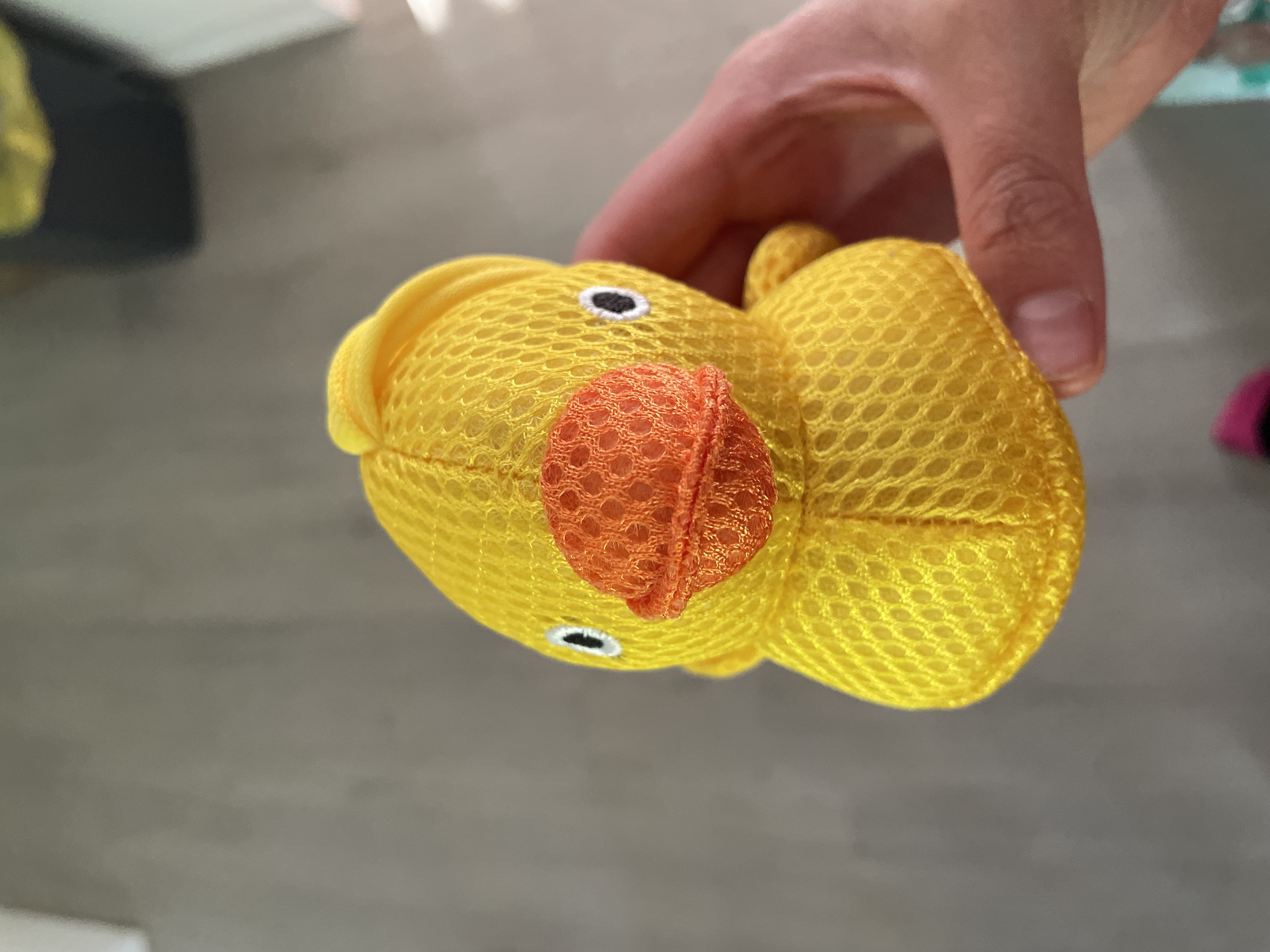 Yellow Sponge Duck
