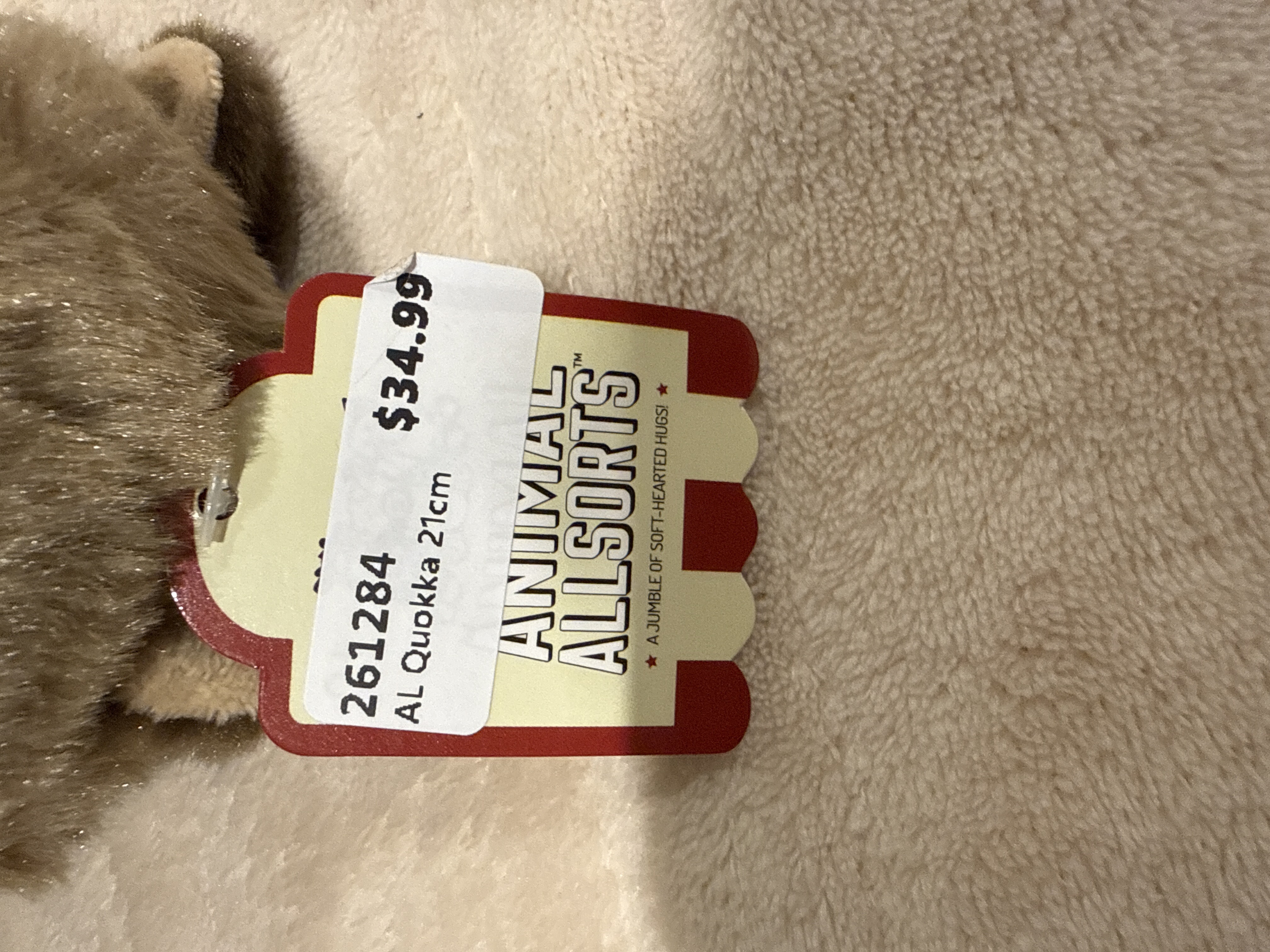 Quincy Quokka Plush Toy