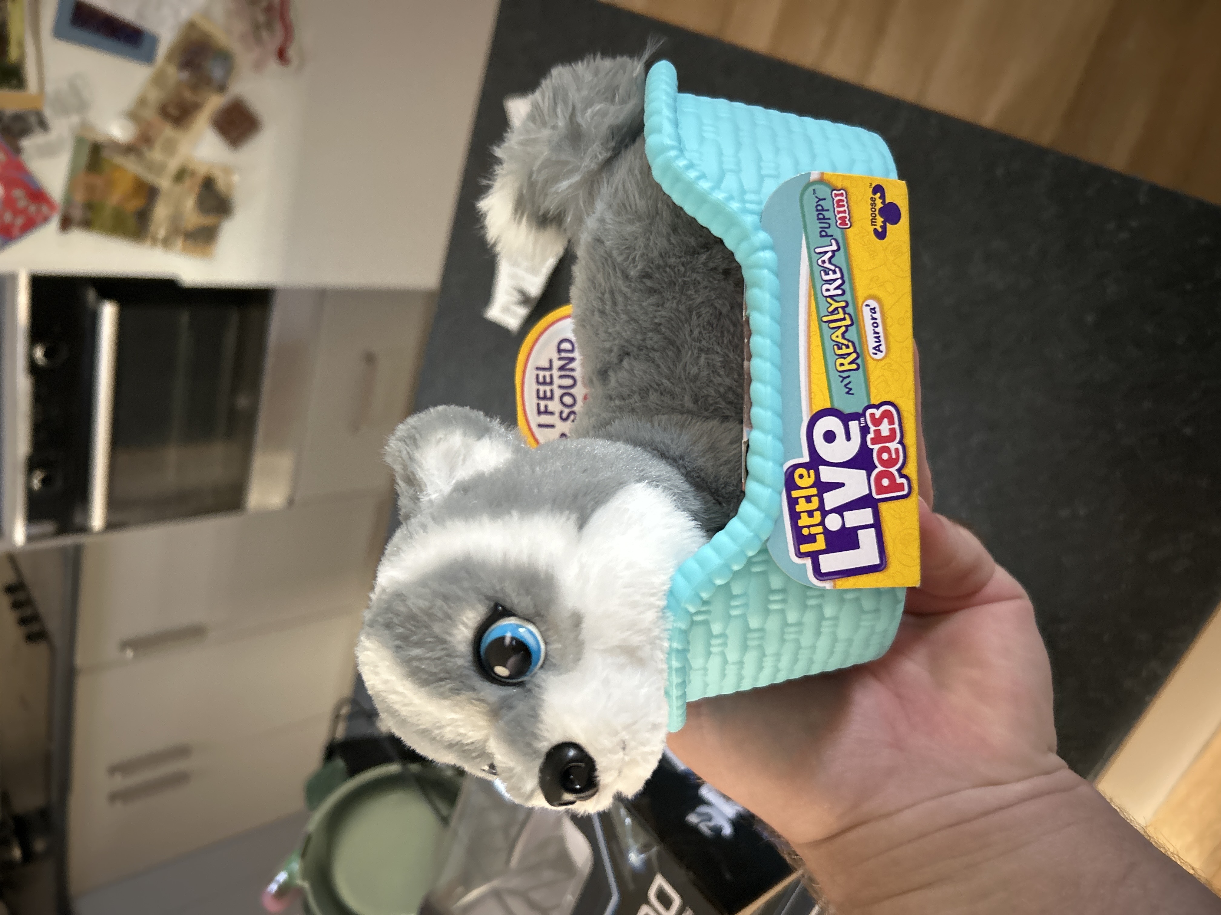 Little Live Pets Puppy Mini