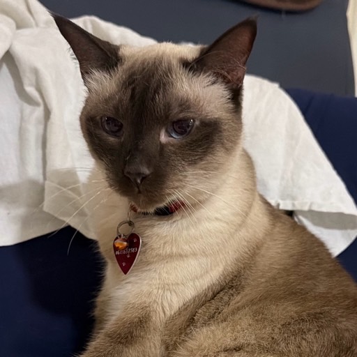 Georgie rose avatar