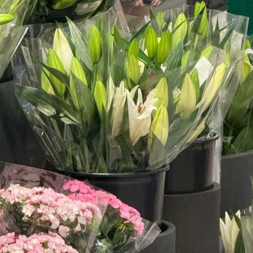 a Shopper avatar